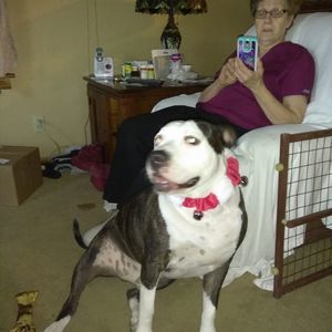 Meet your Posher, Bobby